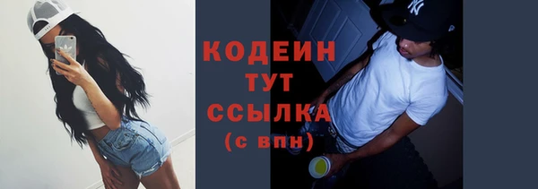 дживик Абаза