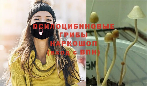 экстази Алзамай