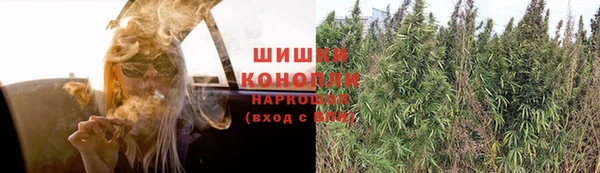 PSILOCYBIN Алексеевка