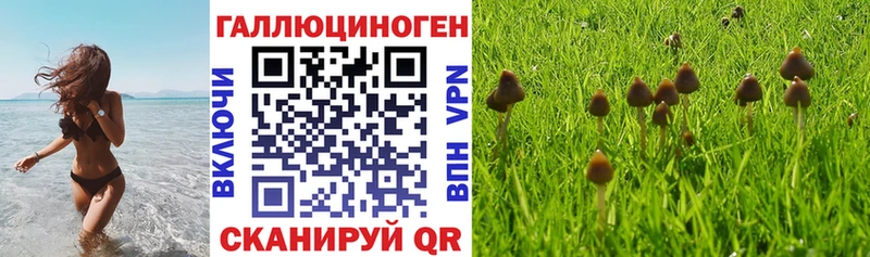 Псилоцибиновые грибы ЛСД  Циолковский 